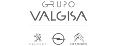 Grupo Valgisa